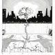 Urban Renewal