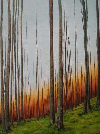 Buttermere Trees (2008)