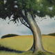 Happy Valley Tree 2…