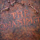 Equinimity (Detail)