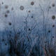 Perception I