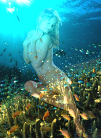 coral queen