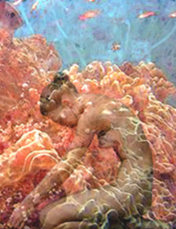 waking from coral dreams