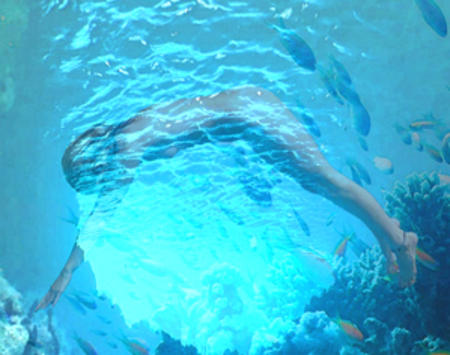coral diver