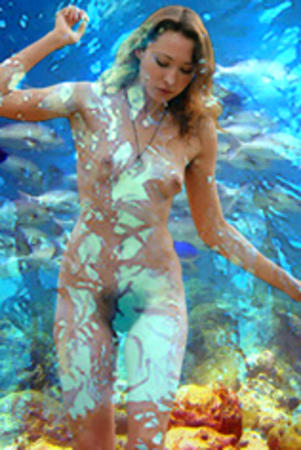 kelp nymph