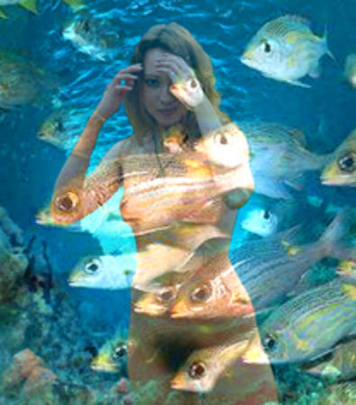 fish eye