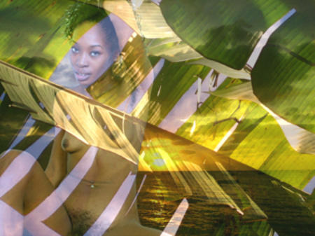 banana sunset2