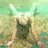 coral bed - giclee on canvas