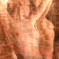 caged by mirrors