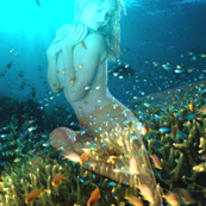 coral queen