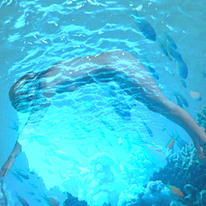 coral diver