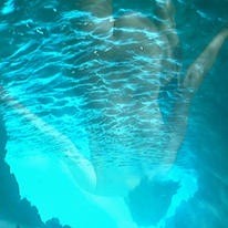 a deeper dive