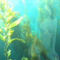 seaweed trance
