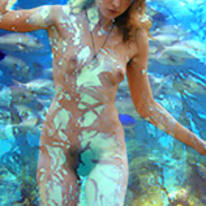 kelp nymph