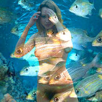 fish eye