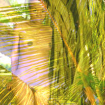 palm cladding