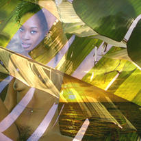 banana sunset2