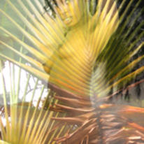plant life