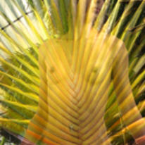 spiikey