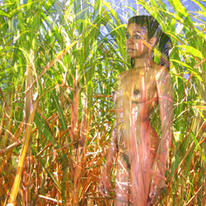 sugar cane sistah