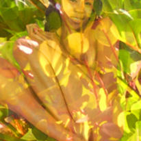 a leafy bed