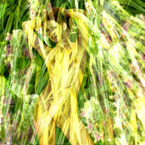 green shower