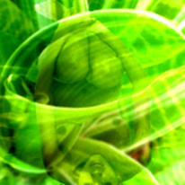 the greeen revolution