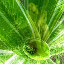 green spin