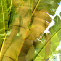 bajun wrap