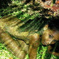 grass n\' shade