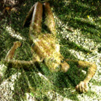 just chillin\'