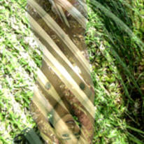takin\' the rays