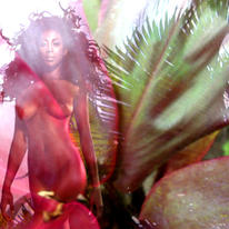 wild thing
