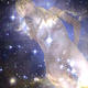 spangled space cadet