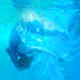 swimming with jelly…