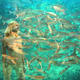 blending sea sprite