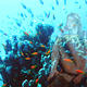 musing siren