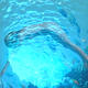coral diver