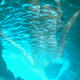 a deeper dive