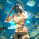 fish eye