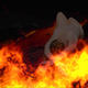 sleeping fire fayrie