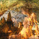 dragons breath