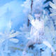oriental frost