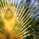 high time