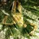 just chillin\'