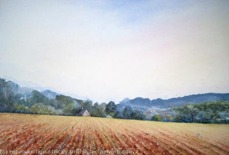 A Farm Near Steyning