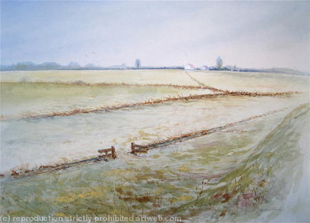 Near Spakenburg Holland