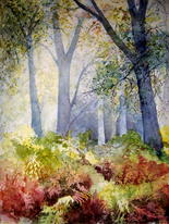 Woodland Bliss