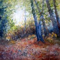 Ashdown Wood
