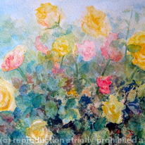 Yellow Bush Roses